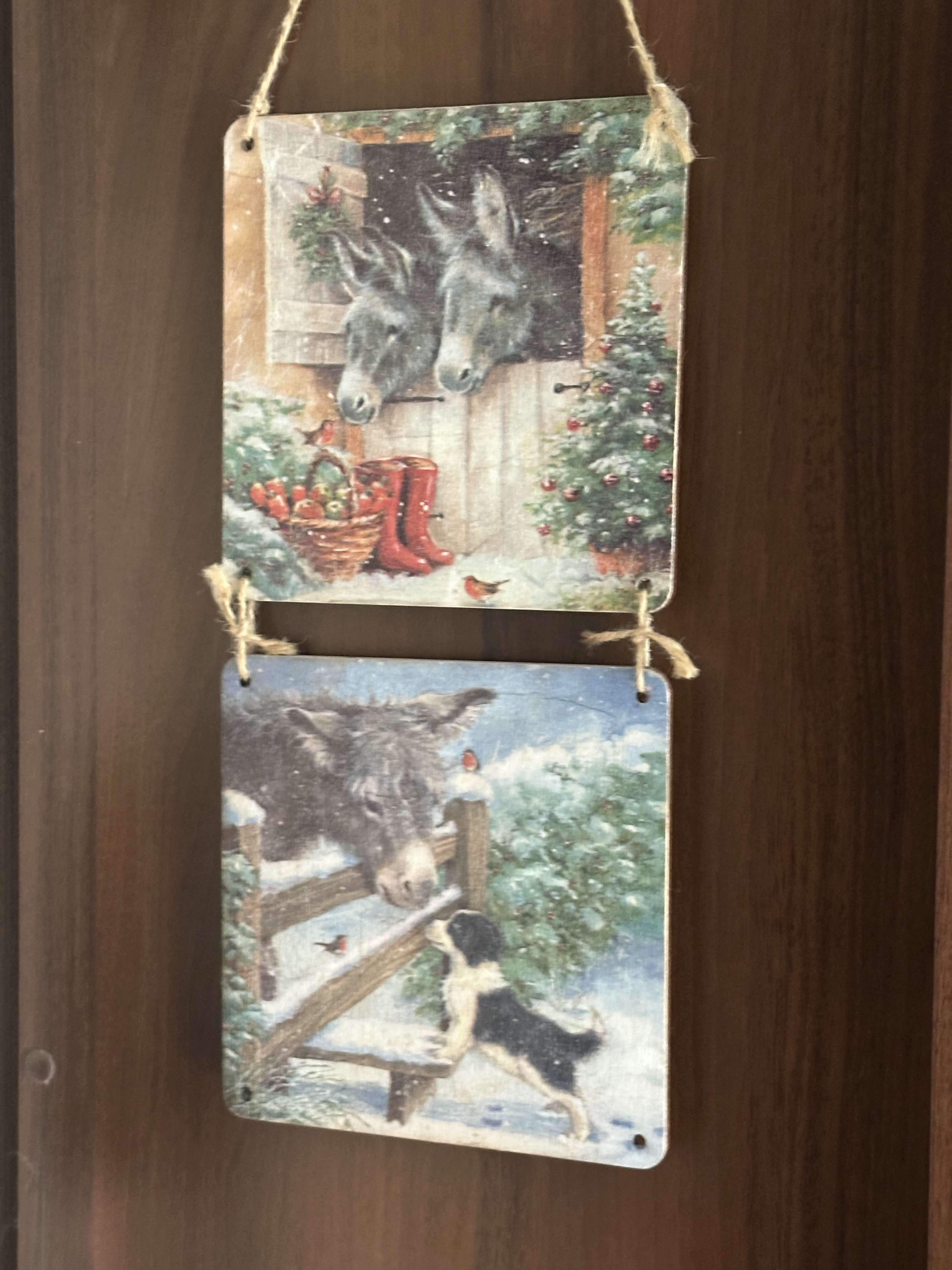 Коллекция осликов