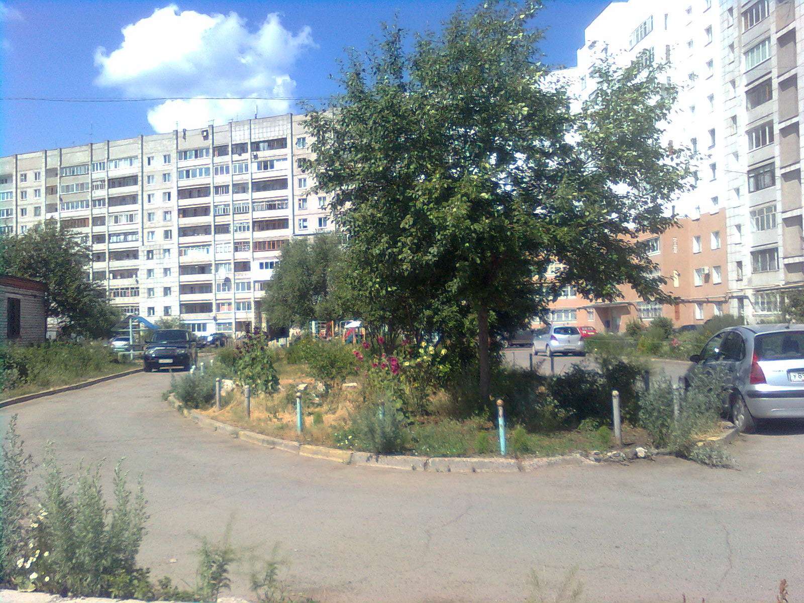 Грибоедова,68 - наш зеленый двор